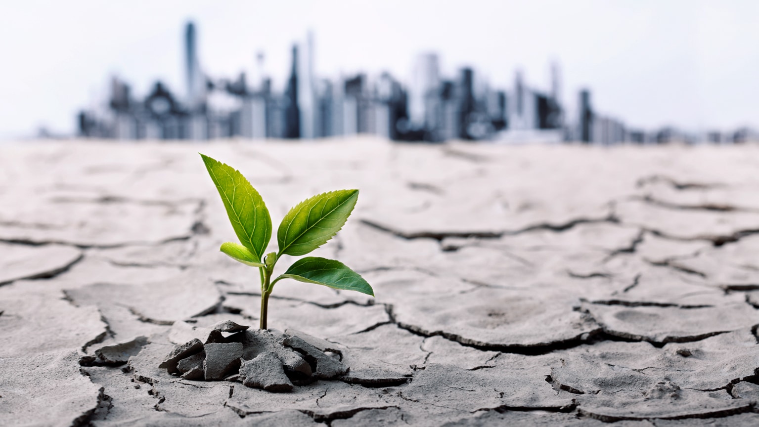 Resilience for sustainable, inclusive growth | McKinsey